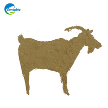 Poultry Feed Buy Bacillus licheniformis